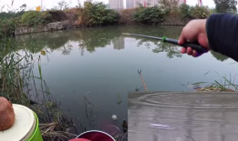 农村野钓视频,捕捉自然之美，享受宁静时光